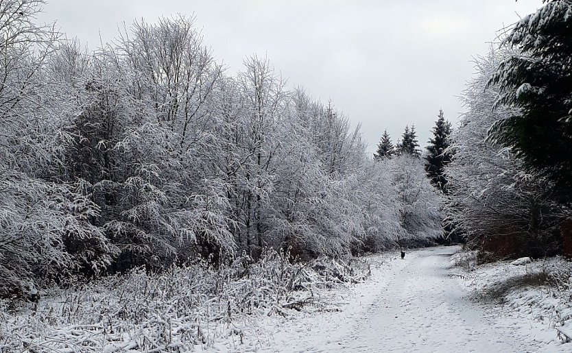 Sophienhof, im Landkreis Nordhausen (Foto: W. J&ouml;rgens)