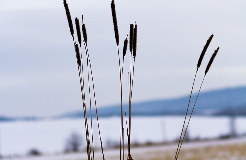 Winter ad&egrave;? (Foto: Gernot Thelemann)