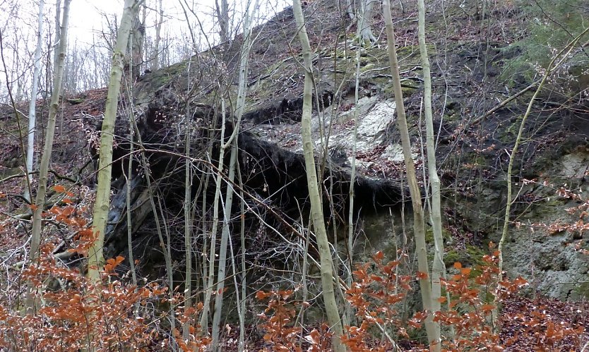 Wetterbild (Foto: nnz)