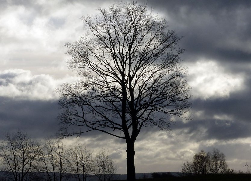 Wetterbild (Foto: nnz)
