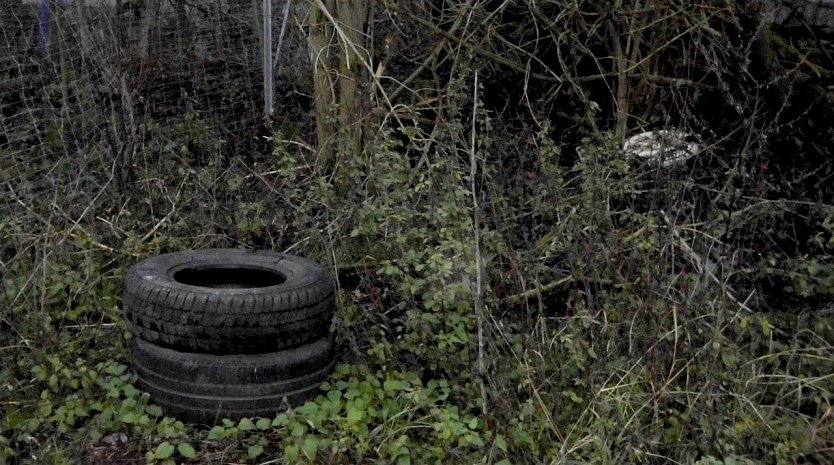 Illegaler Abfall muss auch entsorgt werden (Foto: M. Kappler)