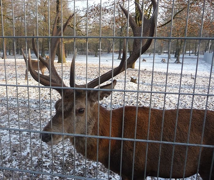 Winter im Park (Foto: nnz)