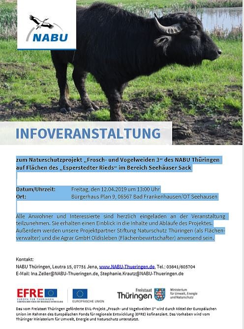 Frosch- und Vogelweiden 3 (Foto: Nabu) Frosch- und Vogelweiden 3 (Foto: Nabu)
