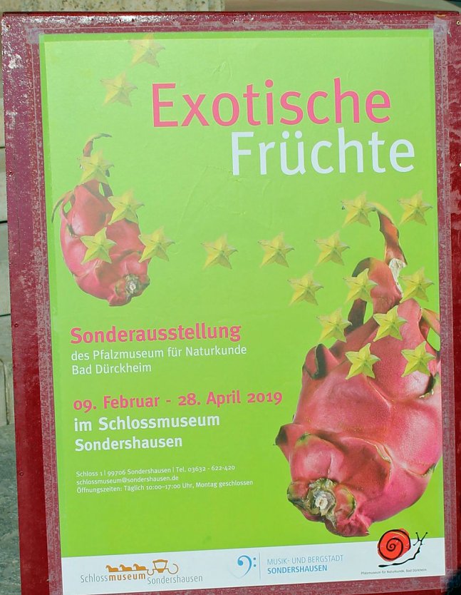 9. Aktionstag Gesunde Ern&auml;hrung war Erfolg (Foto: Karl-Heinz Herrmann)