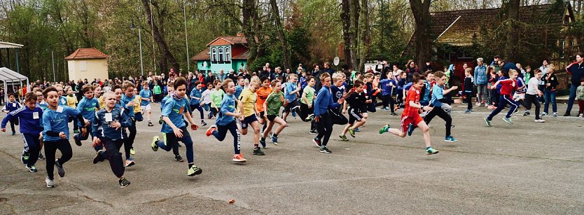 Fr&uuml;hjahrscrosslauf 2019 (Foto: Angelo Glashagel)