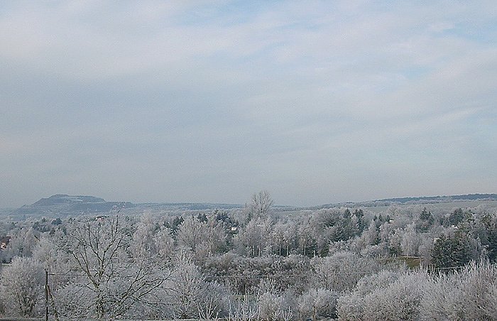Reif &uuml;ber Sondershausen (Foto: Karl-Heinz Herrmann)