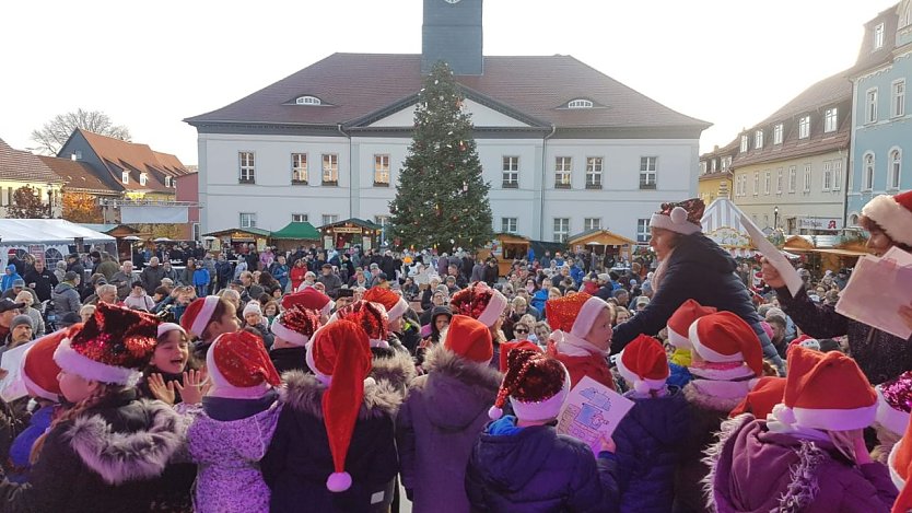 Aktuelle Weihnachtsmeldungen (Foto: privat) Aktuelle Weihnachtsmeldungen (Foto: privat)