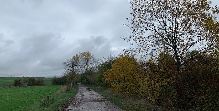 wetter (Foto: oas) wetter (Foto: oas)