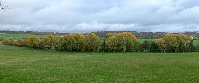 Herbstwetter (Foto: oas)
