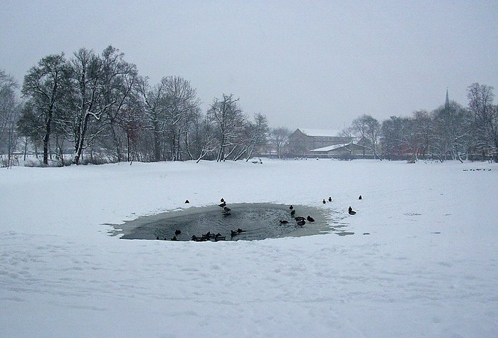 Parksee Schlosspark Sondershausen (Foto: Karl-Heinz Herrmann)