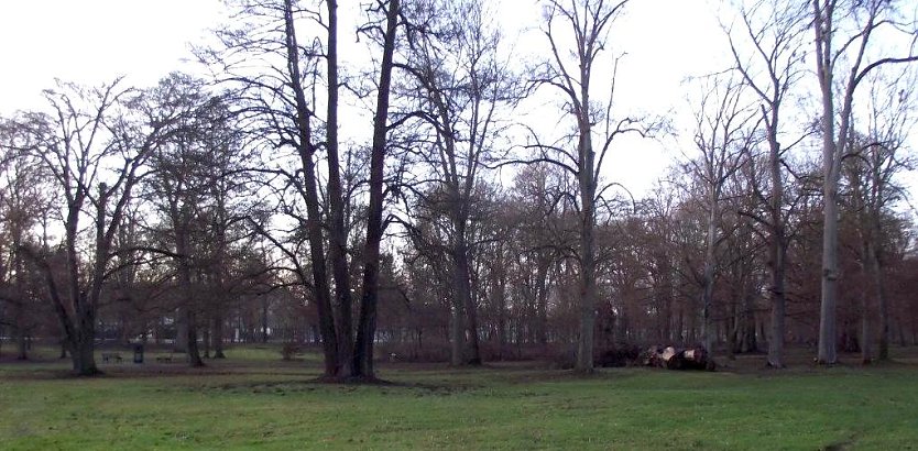 Stadtpark (Foto: Kurt Frank)