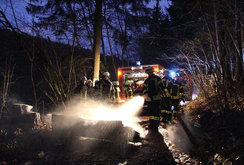 Brennender Baumstamm (Foto: Feuerwehr Heiligenstadt)