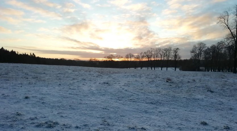 winterwetter sophienhof (Foto: W.J&ouml;rgens)