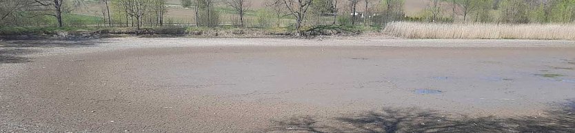 Schlechte Karten f&uuml;r die Kr&ouml;ten (Foto: Karl-Heinz Herrmann)