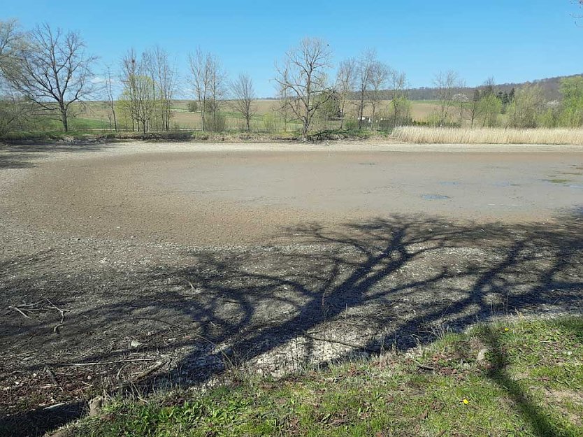 Schlechte Karten f&uuml;r die Kr&ouml;ten (Foto: Karl-Heinz Herrmann)
