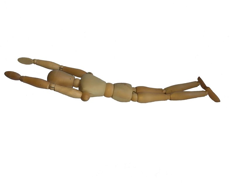 Der fliegende Fisch (Foto: Martin R&auml;cke)