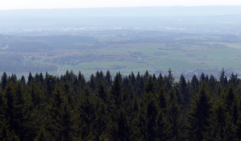 Vom Poppenbergturm (Foto: nnz)