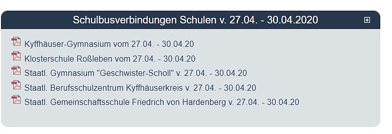 12. Videobotschaft und weitere Maskenverteilung (Foto: Karl-Heinz Herrmann)