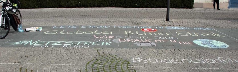 Internetaktion Fridays for Future (Foto: Karl-Heinz Herrmann)