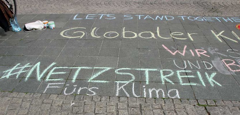Internetaktion Fridays for Future (Foto: Karl-Heinz Herrmann)
