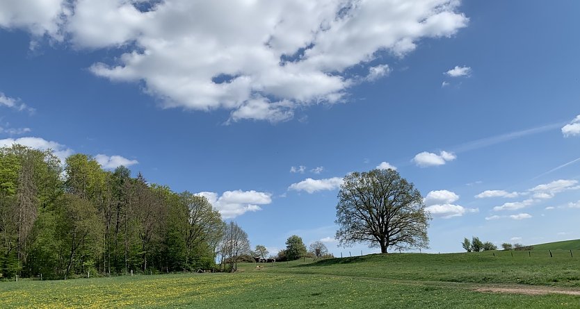 Wetter (Foto: oas)