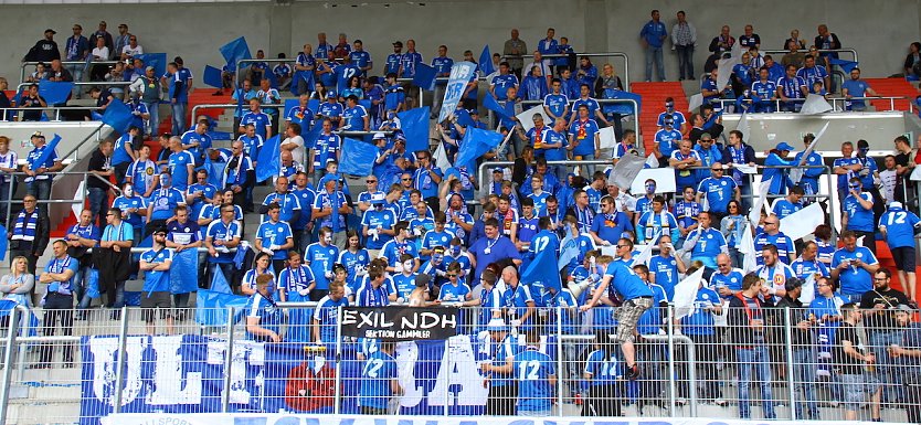 Fu&szlig;ballfans (Foto: Bernd Peter)