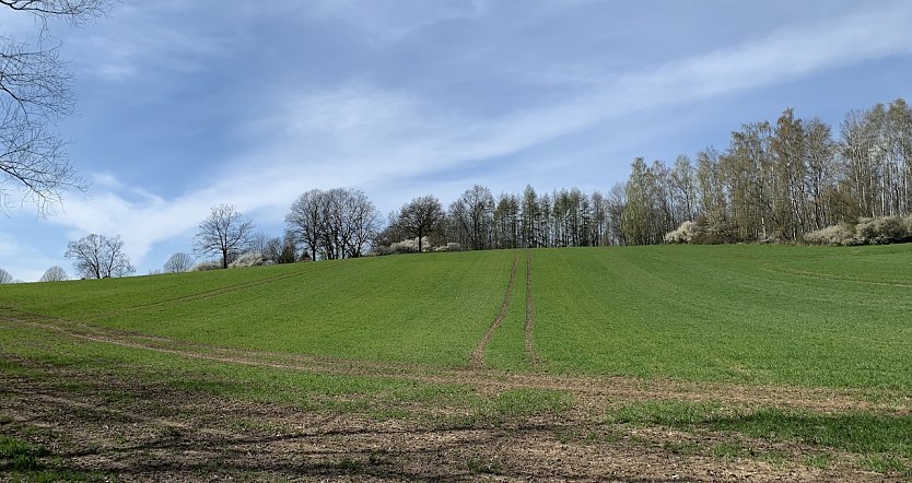 Wetter (Foto: oas)