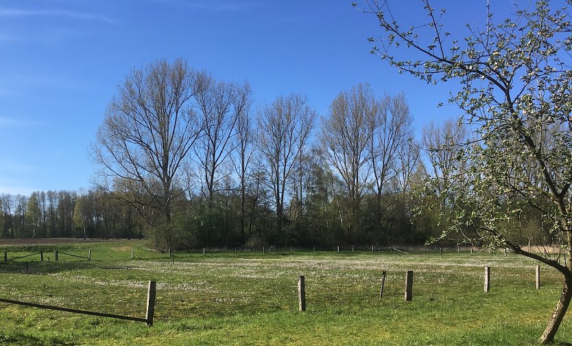 wetter (Foto: oas) wetter (Foto: oas)