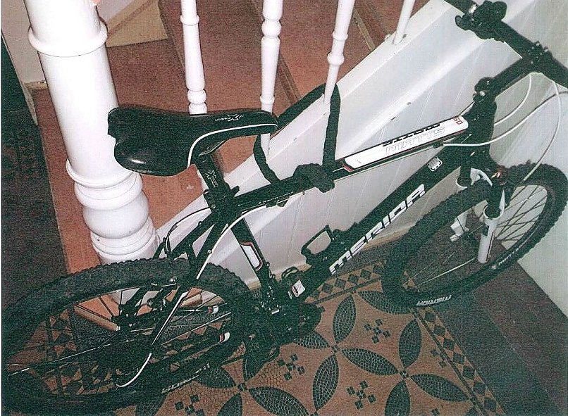 Gestohlenes Fahrrad (Foto: Polizei)