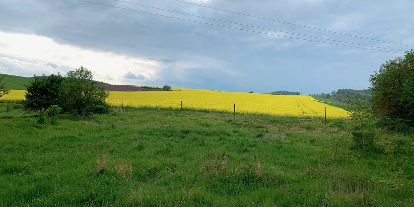 wetter (Foto: oas)