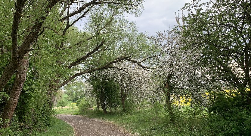 wetter (Foto: oas)