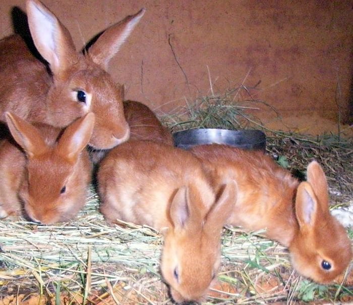Spa&szlig; im Ferienlager (Foto: Horizont)