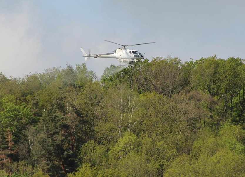 Schwammspinnerbek&auml;mpfung aus der Luft (Foto: Th&uuml;ringenForst, Dr. Horst Spro&szlig;mann)
