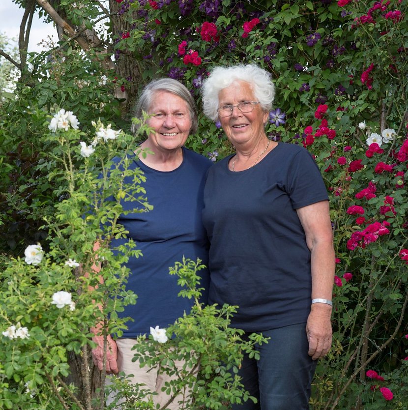 Historische Rosen  (Foto: Europa-Rosarium Sangerhausen )