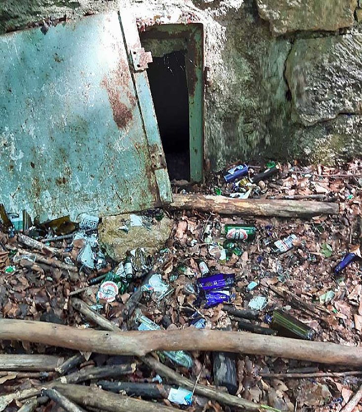 Vermüllung im Wald (Foto: Uli Klüßendorf) Vermüllung im Wald (Foto: Uli Klüßendorf)