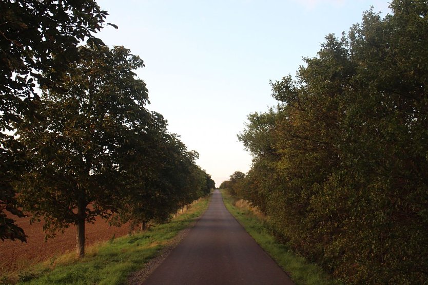 Wetterbild (Foto: agl)
