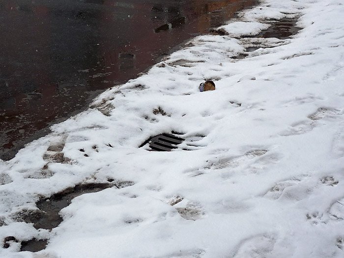 Probleme im Winter (Foto: Karl-Heinz Herrmann)