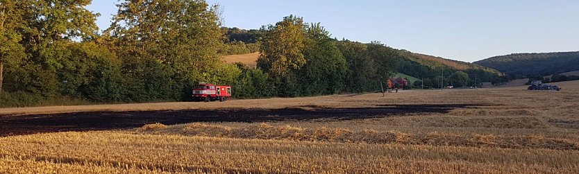 Feldbrand auch im Kyffhäuserkreis (Foto: Silvio Dietzel) Feldbrand auch im Kyffhäuserkreis (Foto: Silvio Dietzel)