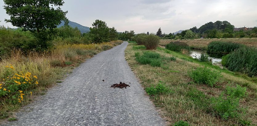 Fernsehen an der Kiesgrube und mehr (Foto: Fernsehen an der Kiesgrube und mehr)