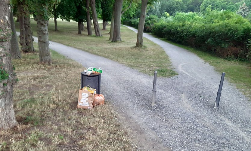Fernsehen an der Kiesgrube und mehr (Foto: Fernsehen an der Kiesgrube und mehr)