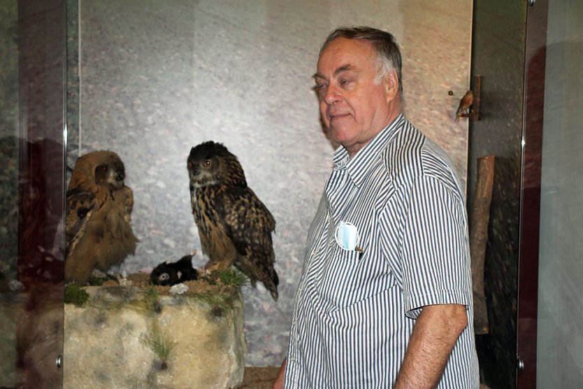 Uhus f&uuml;r das Schlossmuseum (Foto: Karl-Heinz Herrmann)