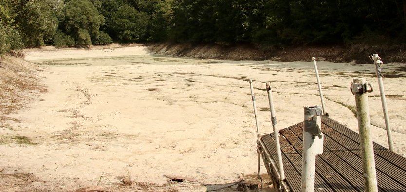Was passiert im einst so sch&ouml;nen Teichtal bei Hainrode? (Foto: agl)