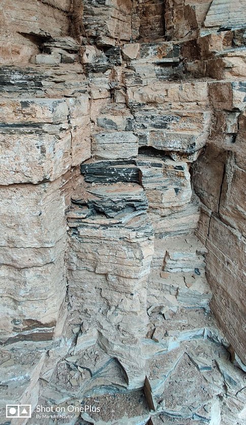 Gef&uuml;hrte geologische Wanderungen zum Tag des GeoTops (Foto: Mareike Naylor)