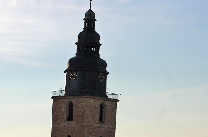 Pflanzenmarkt in Sondershausen gut besucht (Foto: Karl-Heinz Herrmann)