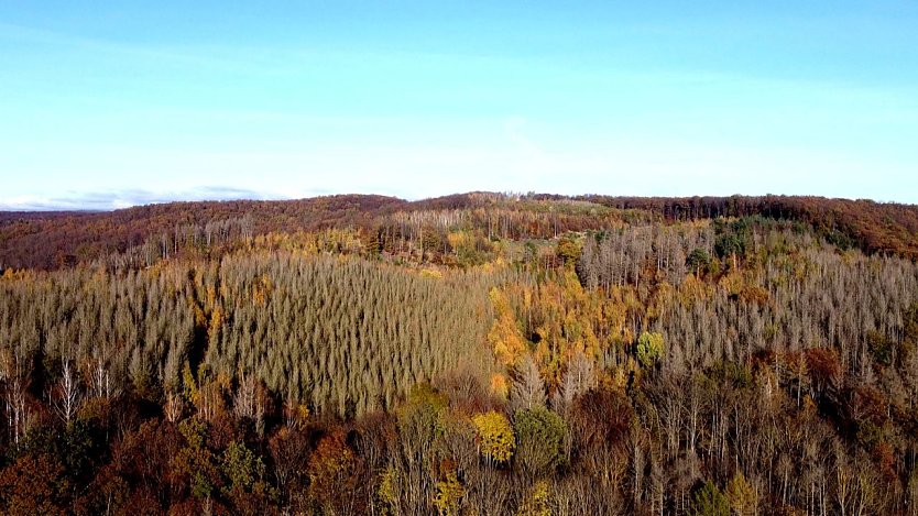 Blick in den S&uuml;dharz (Foto: Peter Blei)
