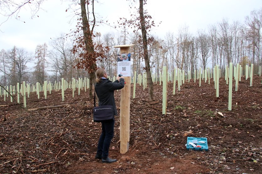 Sven Gerwin vom Sachgebietsbereich Umwelt und Gr&uuml;nordnung bringt eine erkl&auml;rende Tafel an. (Foto: oas)