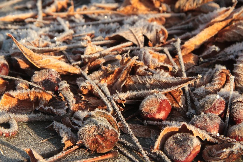 Wetterbild (Foto: agl)