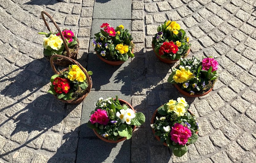 Fr&uuml;hbl&uuml;her auf dem Wochenmarkt in Sondershausen (Foto: Eva Maria Wiegand)