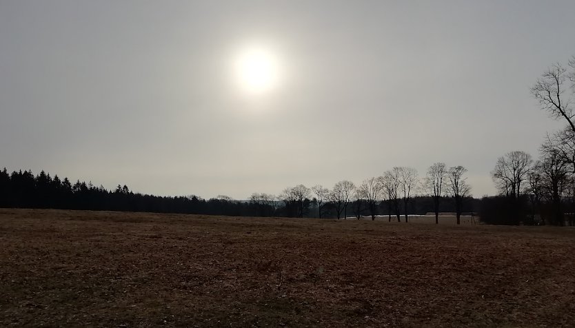 Im Hochharz (Foto: W.J&ouml;rgenss)