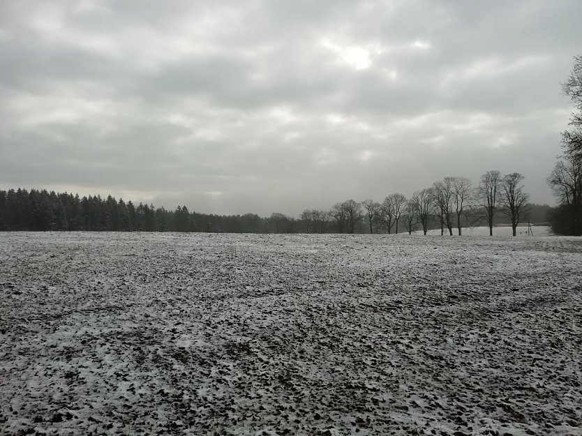 Bei Sophienhof (Foto: W.Jörgens) Bei Sophienhof (Foto: W.Jörgens)